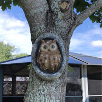 Design Toscano Octavius Knothole Owl Tree Statue & Reviews | Wayfair